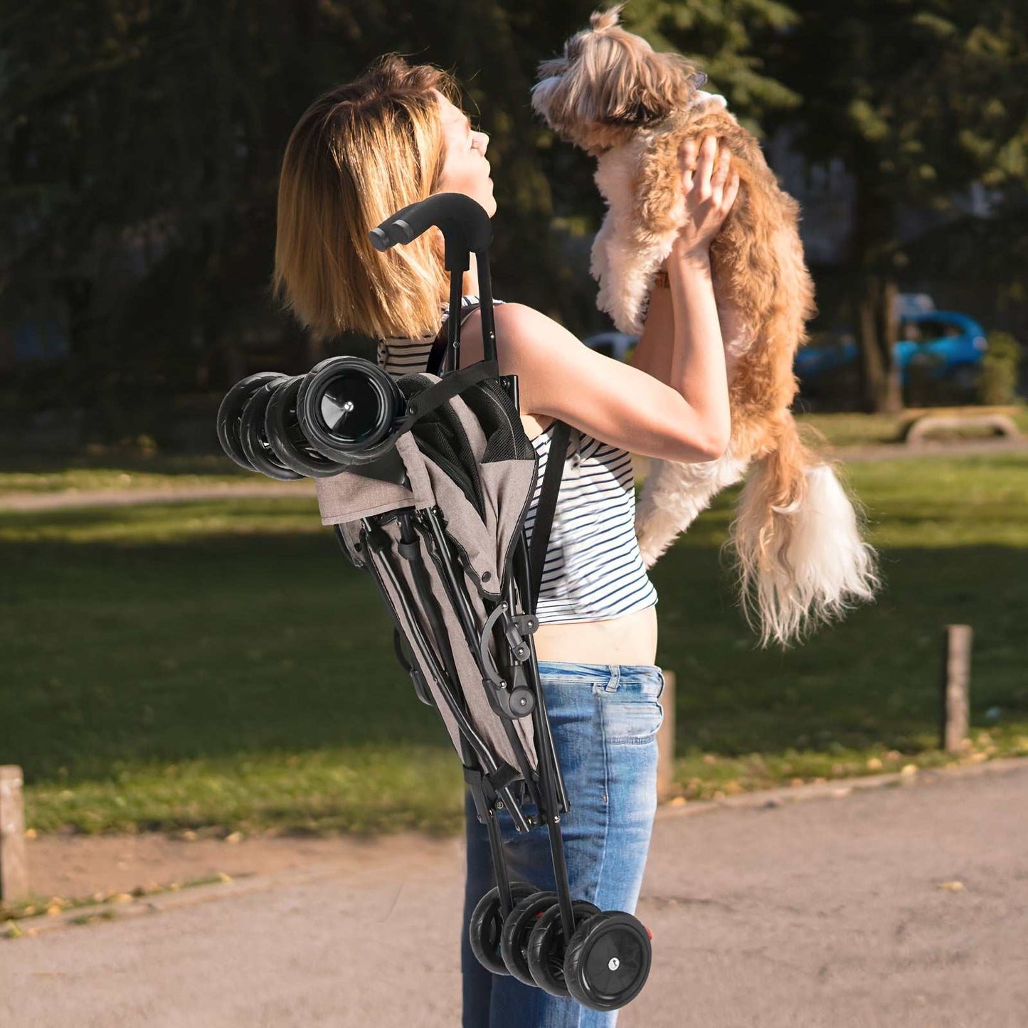 Heavy Duty Pet Stroller One Touch Folding Spacious Interior