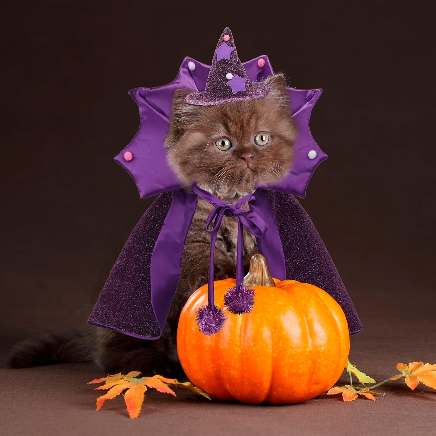 Halloween Witch Cloak And Hat Set For Cats And Dogs