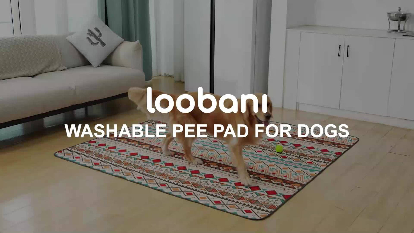 Leak-Resistant Dog Training Pads for Easy Cleanup and Odor Control