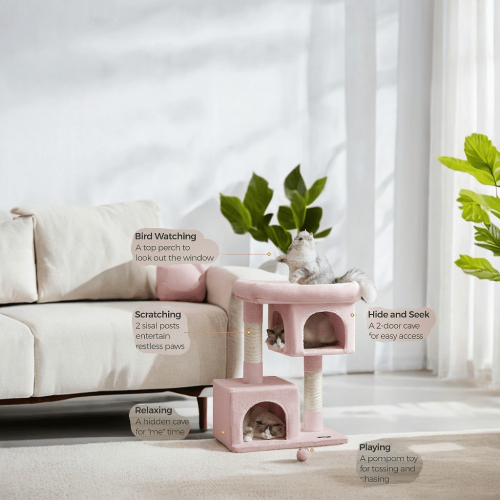 Premium Cat Tree With Two Caves For Large Indoor Cats