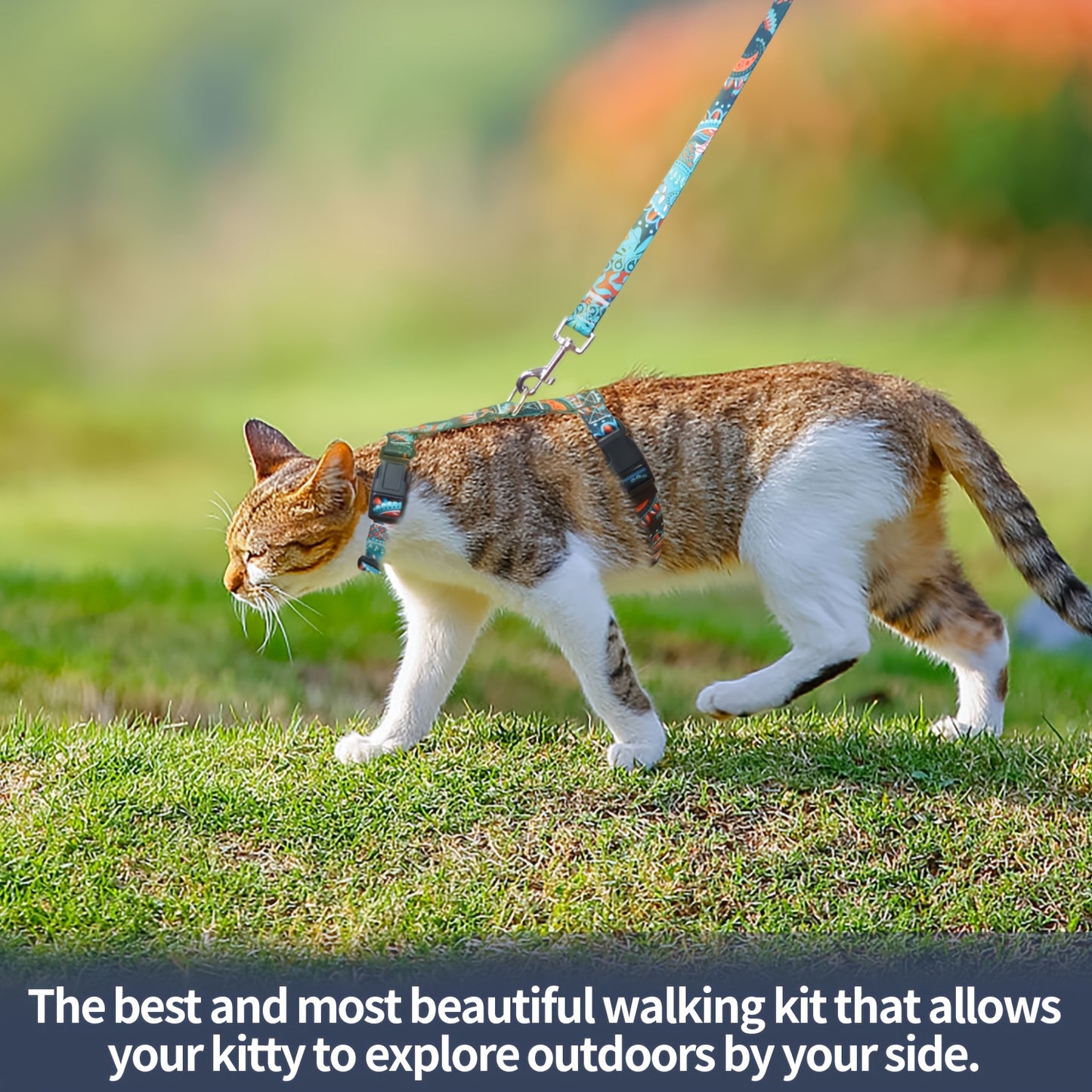 Escape-Proof Cat Harness and Leash Set for Safe Adventures