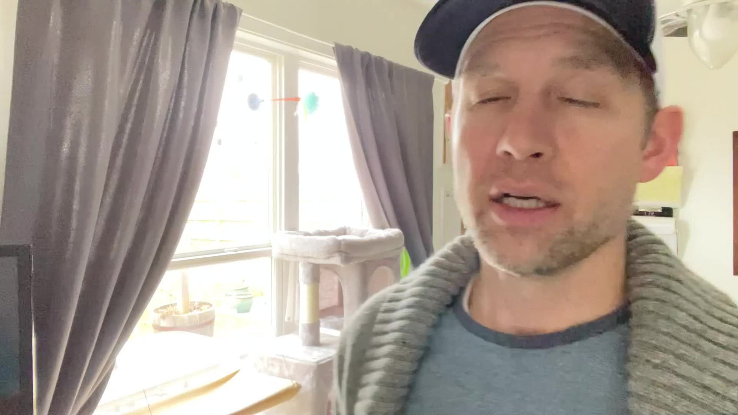 Premium Cat Tree With Two Caves For Large Indoor Cats