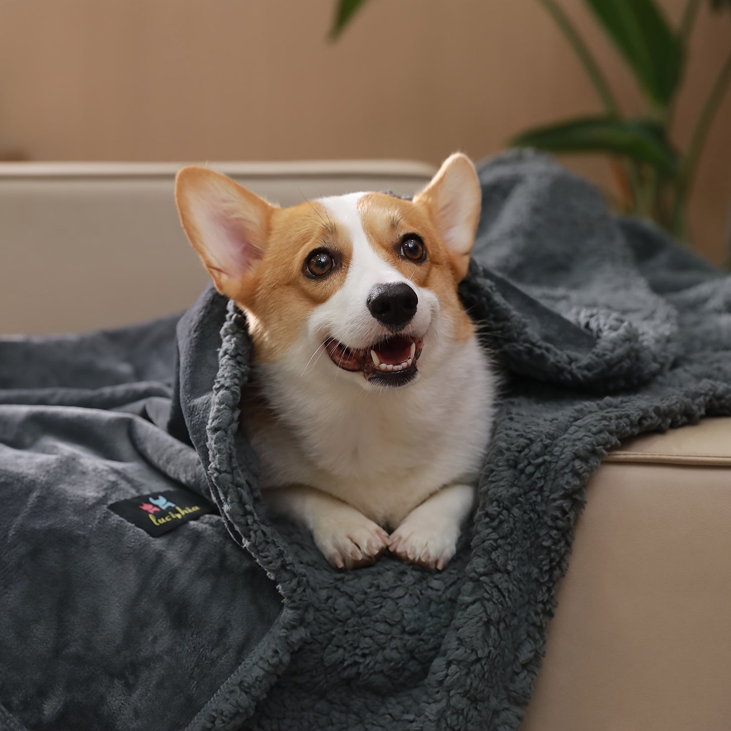 Reversible Shearling Pet Blanket Liquid-Proof Anti-Tear Cover