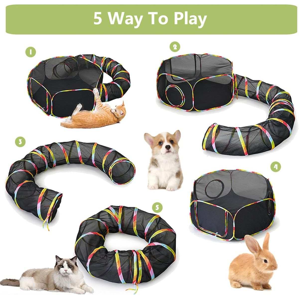 Cat Playground | Fun Interactive Play Area for Active & Happy Cats.!!!