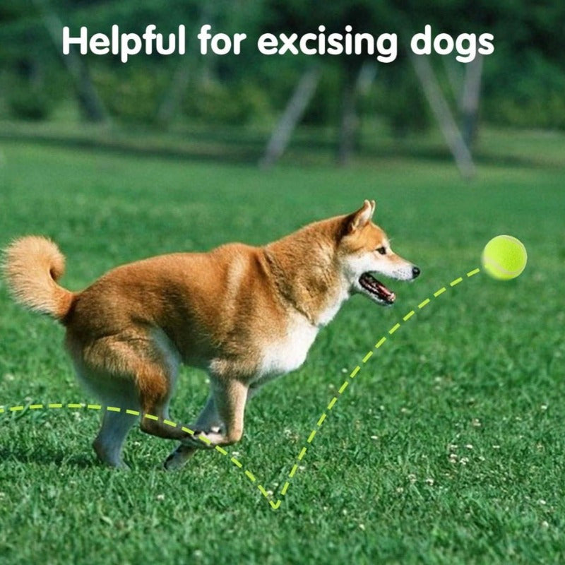 Mini Tennis Balls for Dogs Interactive Fun Playtime Game
