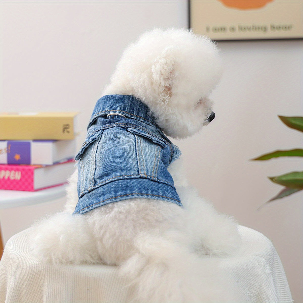 Dog Cat Vest Harness With Leash Attachment Universal Fit