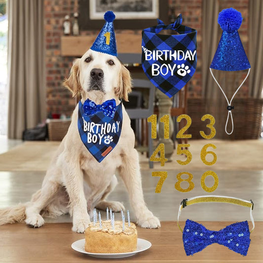 Cute Pet Birthday Party Clothes and Accessories Set for Dogs