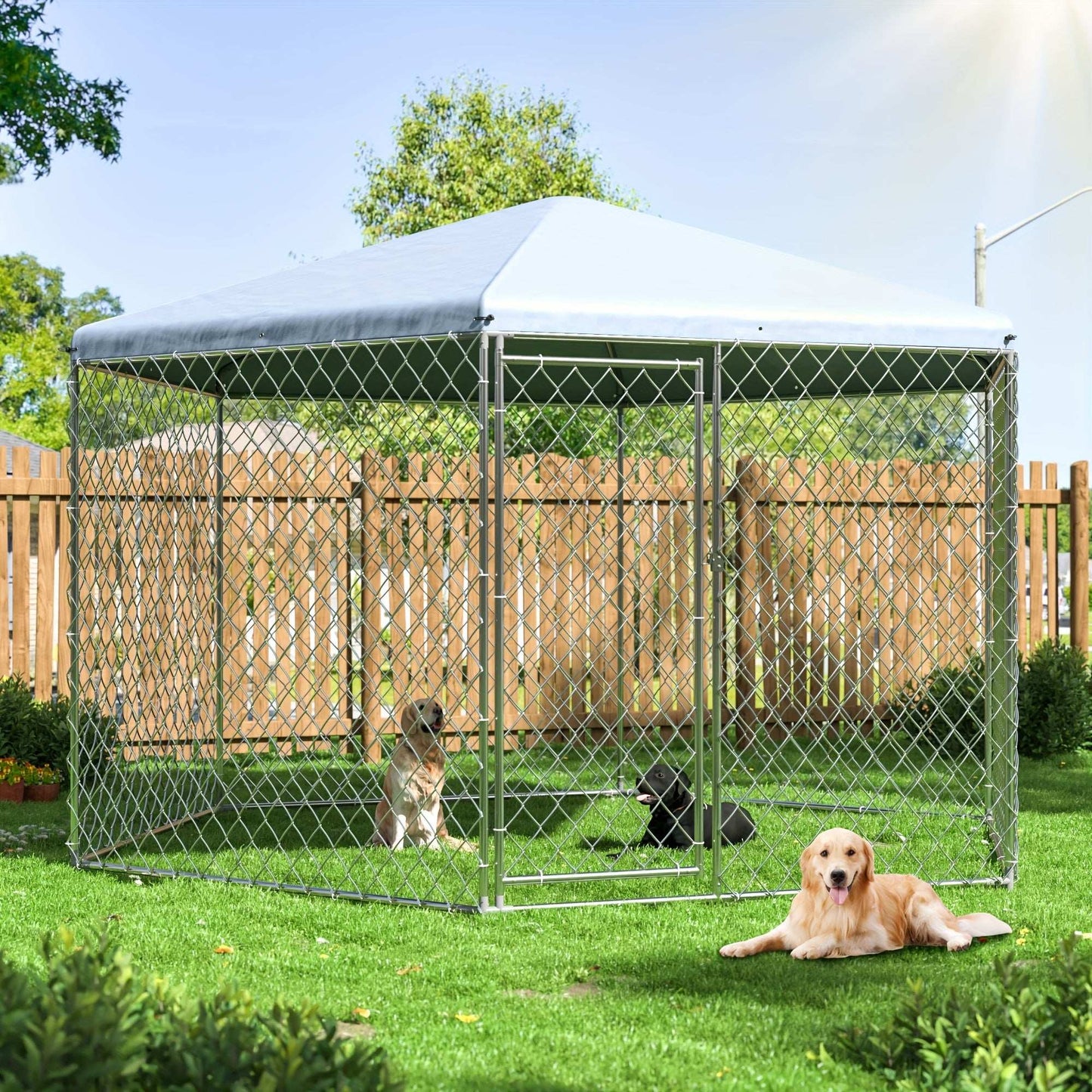 Polar Aurora Heavy Duty outdoor dog kennel made of iron alloy with secure lock and spacious design