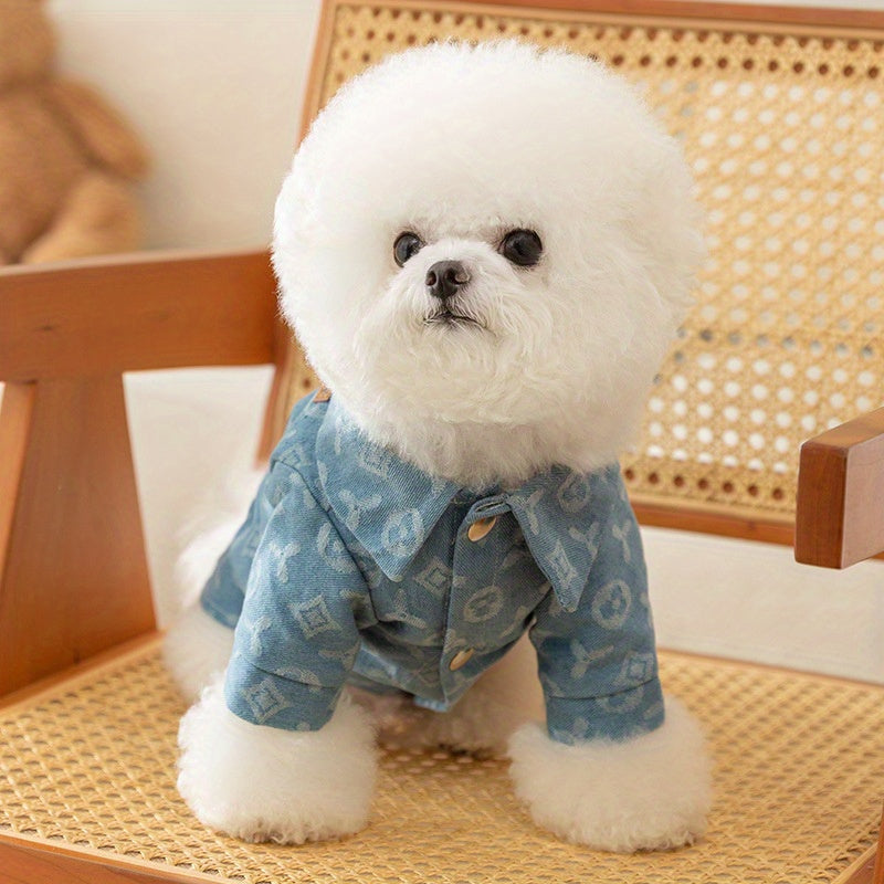 White dog in blue denim jacket