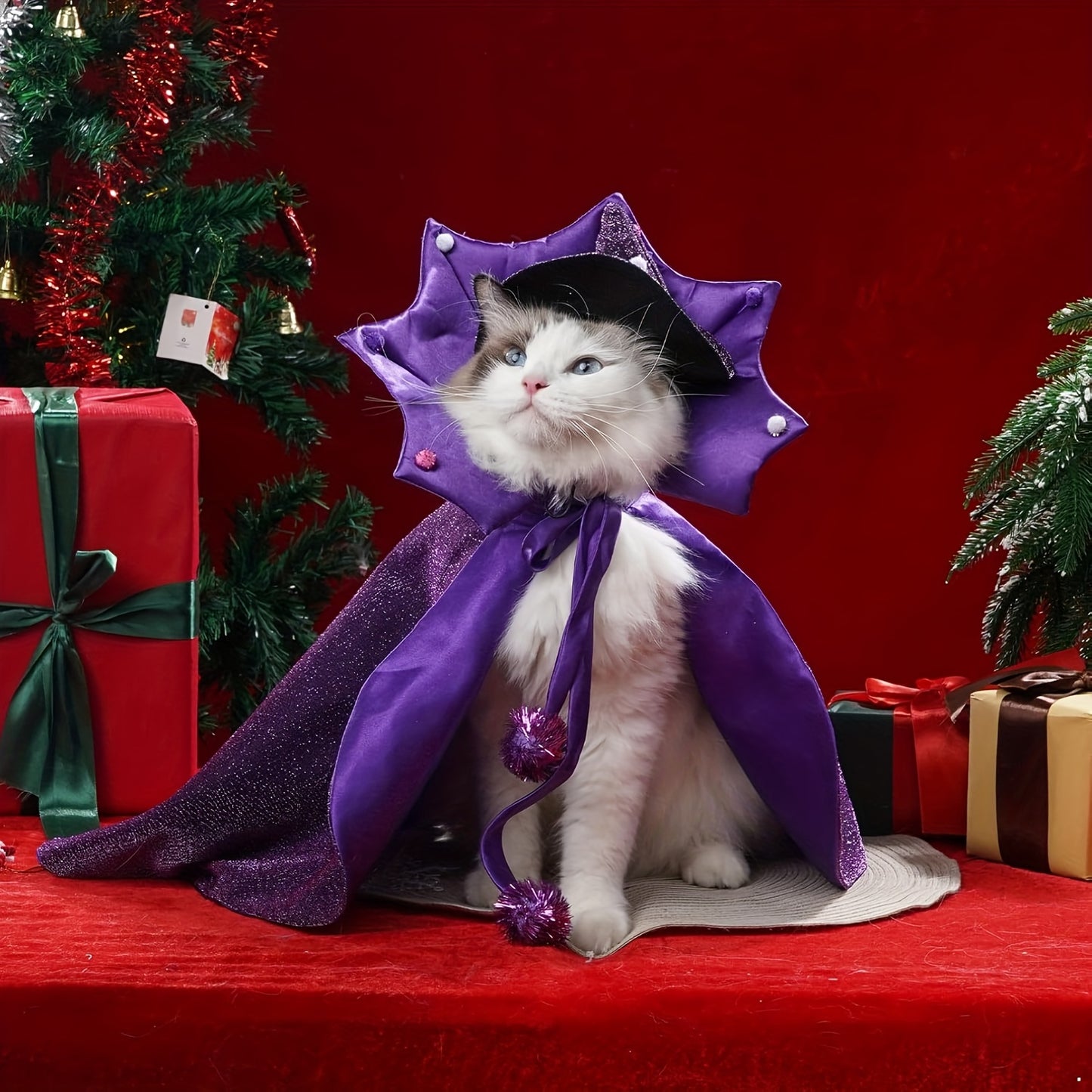 Halloween Witch Cloak And Hat Set For Cats And Dogs