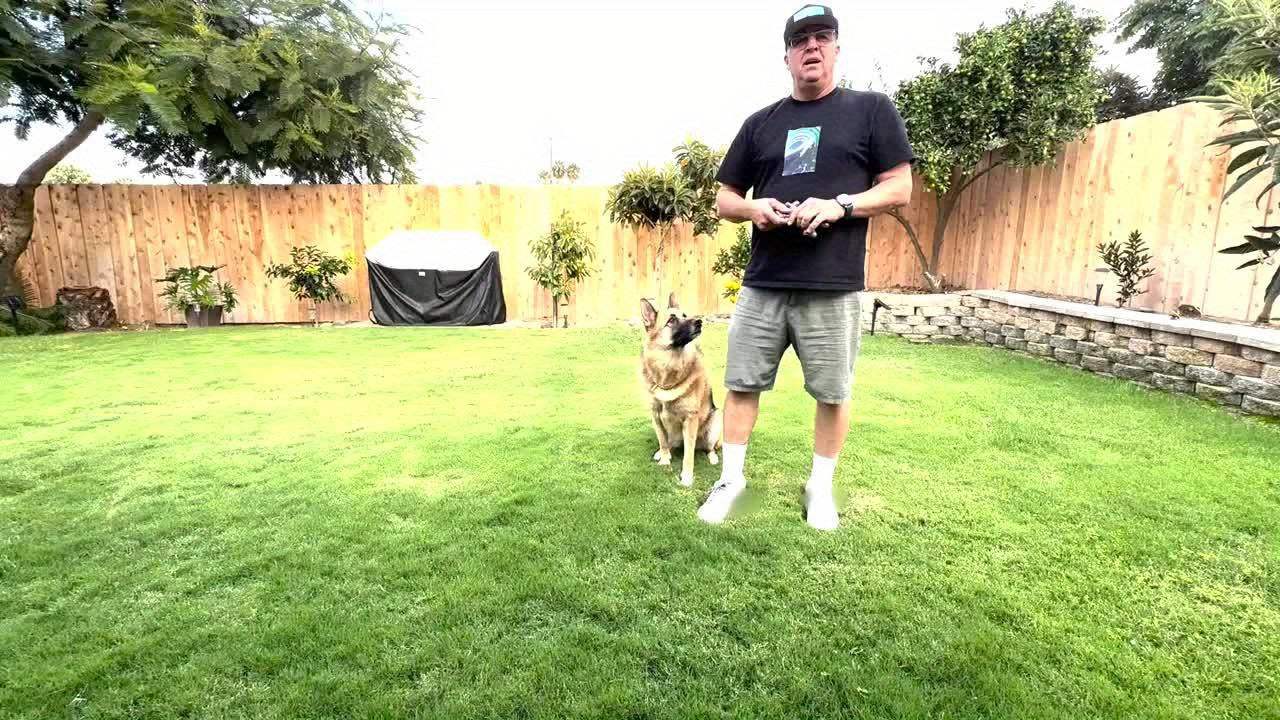 Tough Indestructible Dog Chew Toy for Aggressive Chewers