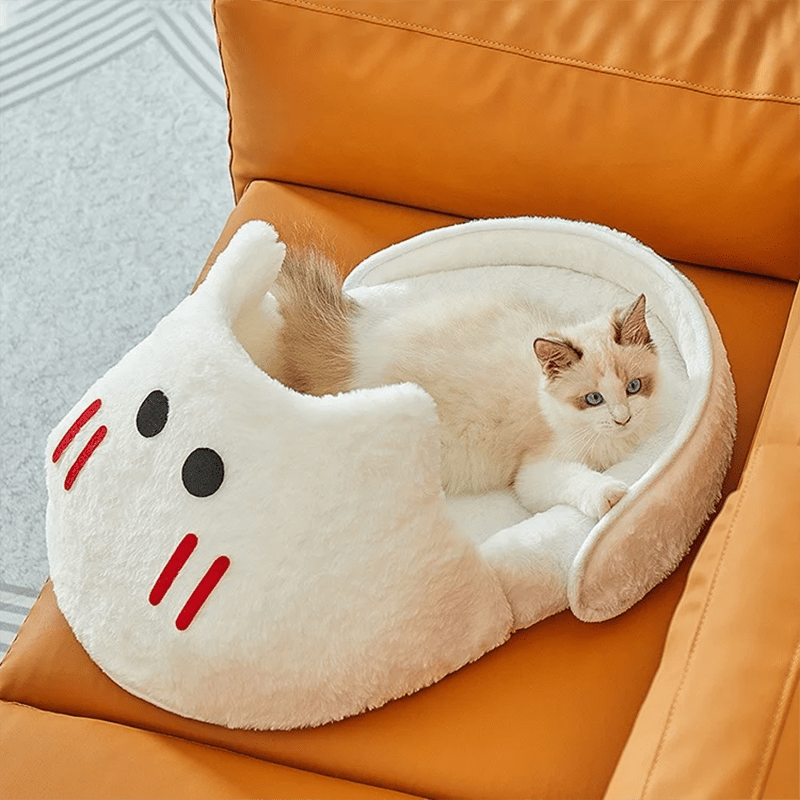 Cozy Plush Cat Bed With Memory Foam Pillow And Anti Slip