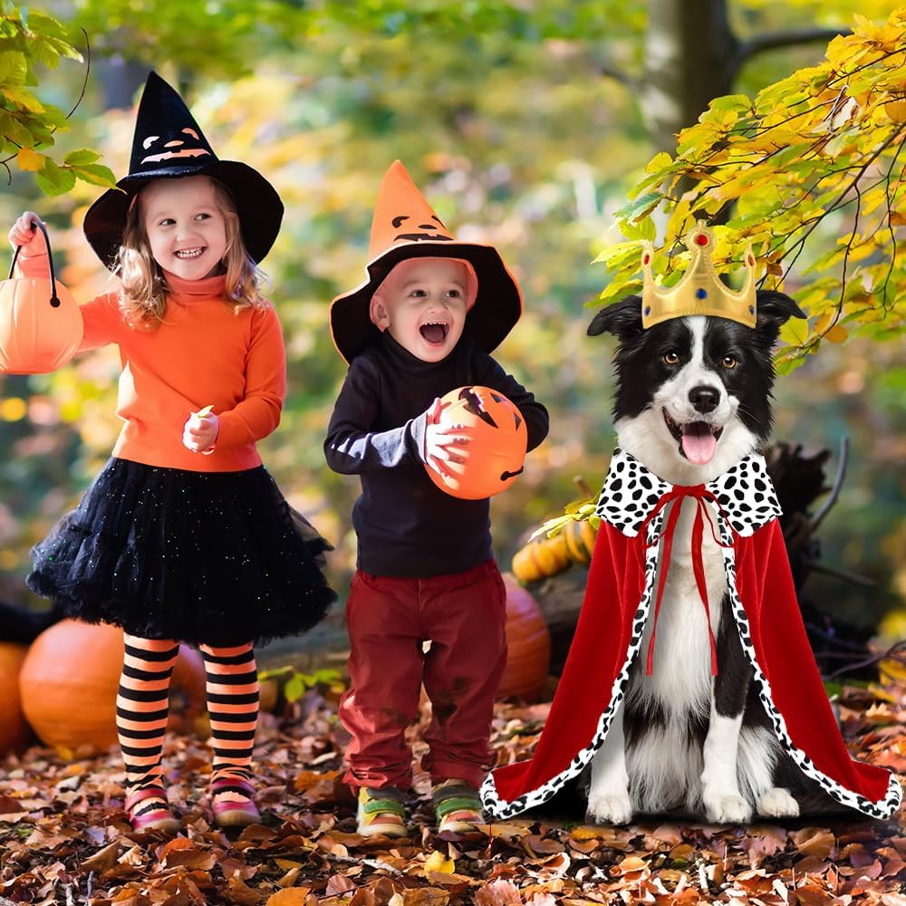 Adjustable King Cape And Crown Costume For Halloween Pets