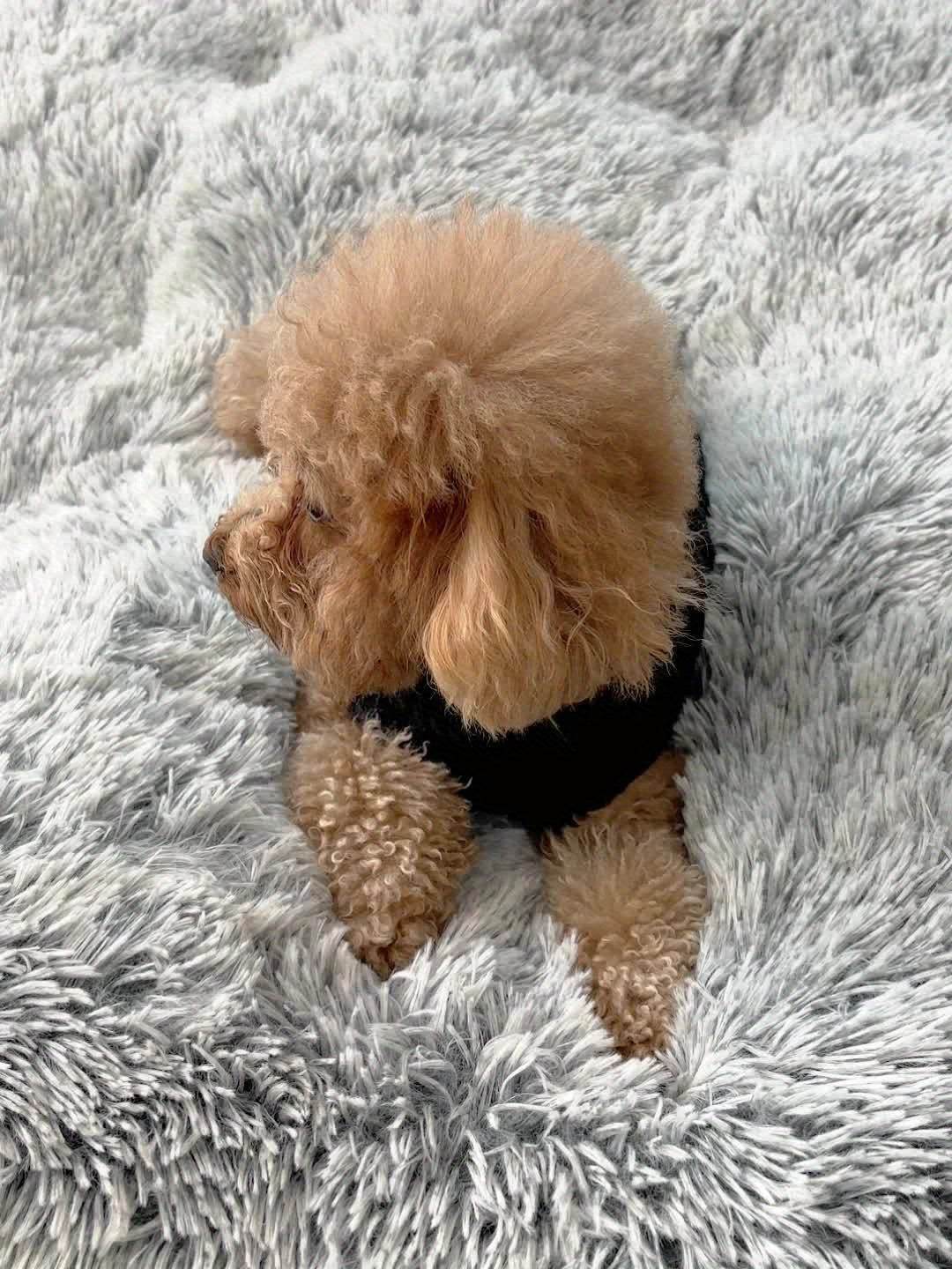 Plush Soft Dog Bedstead Anti Slip Crate Mat For Pets