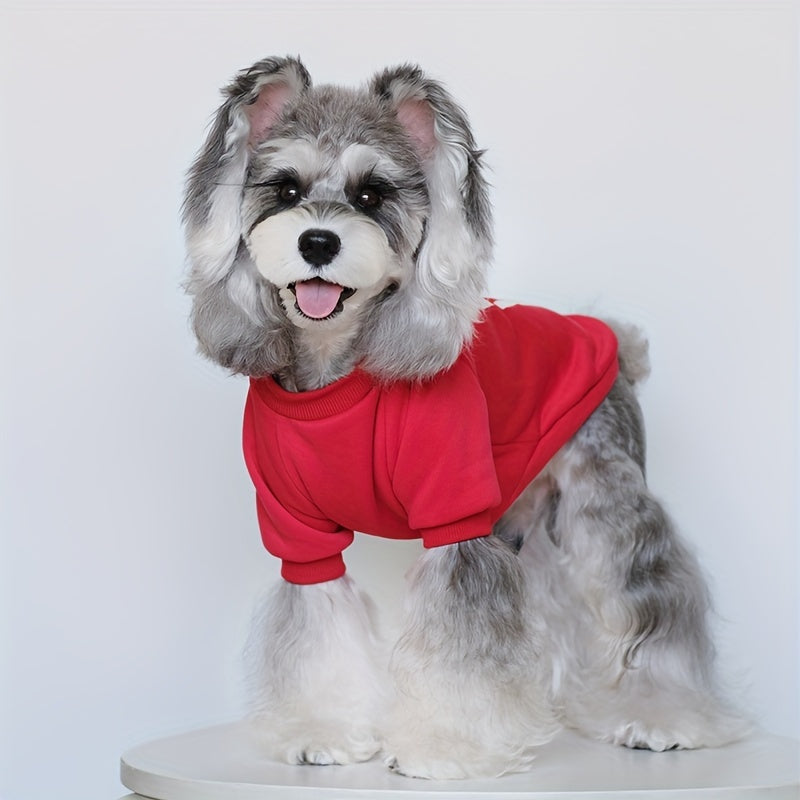 Cute Plus Velvet Dog Sweater Set for Festivals and Fun