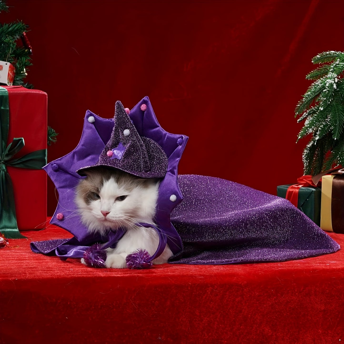 Halloween Witch Cloak And Hat Set For Cats And Dogs