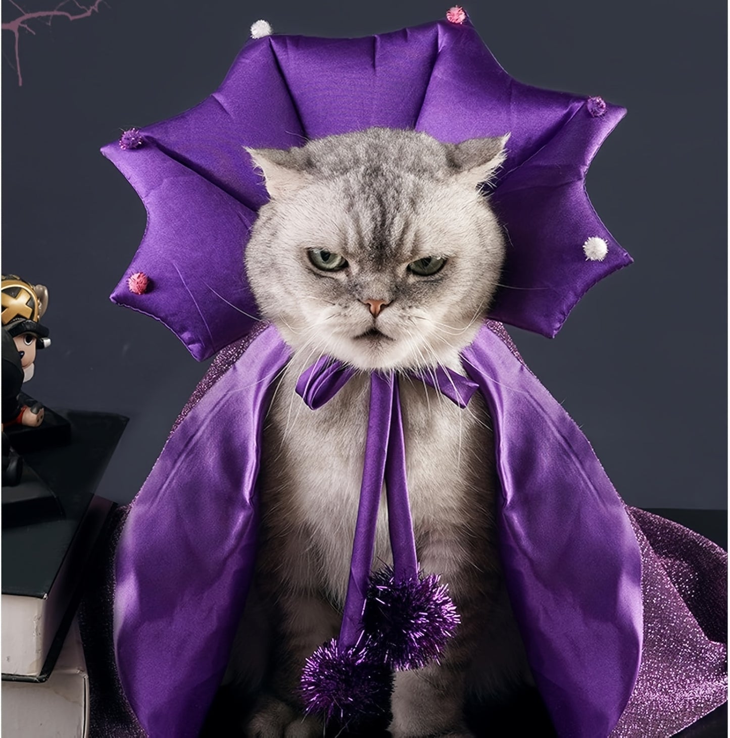 Halloween Witch Cloak And Hat Set For Cats And Dogs