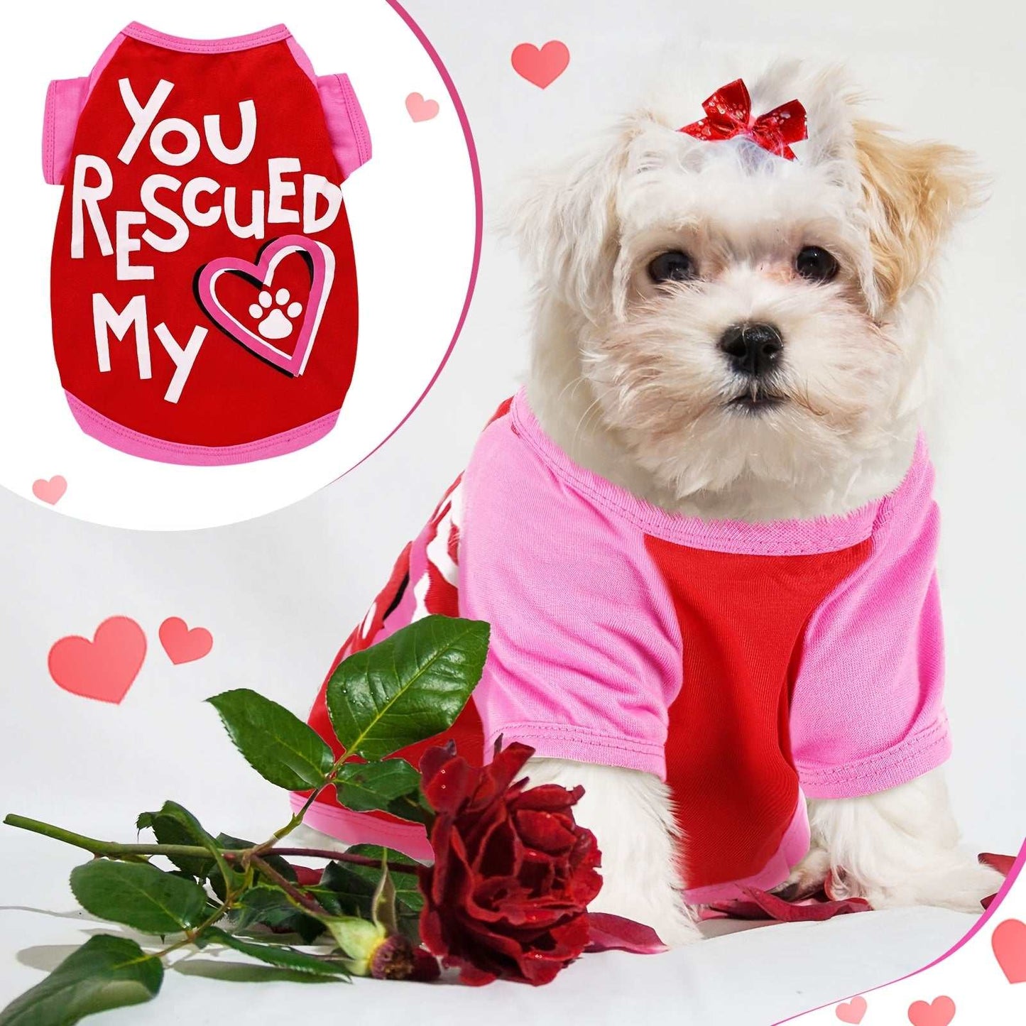 Breathable Dog T-Shirts for Small Breeds Cute and Stylish