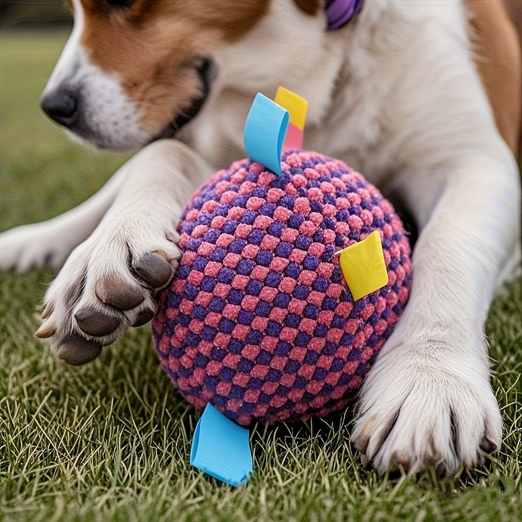 Heavy Duty Chew Proof Dog Training Ball With Bell Toy