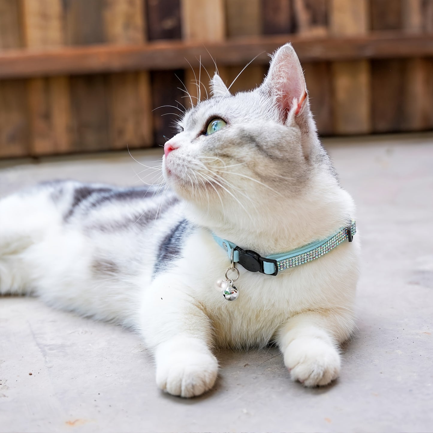 Rhinestone Cat Collar Breakaway With Bell Safety Buckle