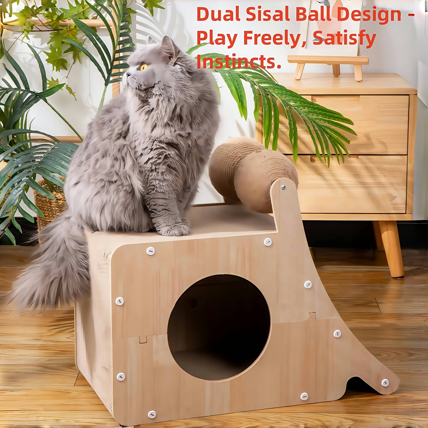 Dual Ball Cat Scratcher and Bed Combo for Endless Fun