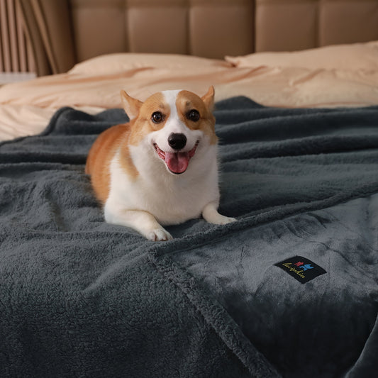 Reversible Shearling Pet Blanket Liquid-Proof Anti-Tear Cover