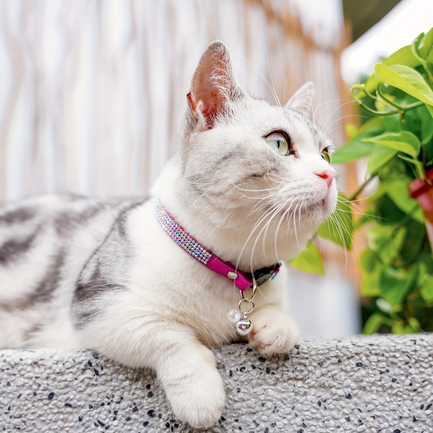 Rhinestone Cat Collar Breakaway With Bell Safety Buckle