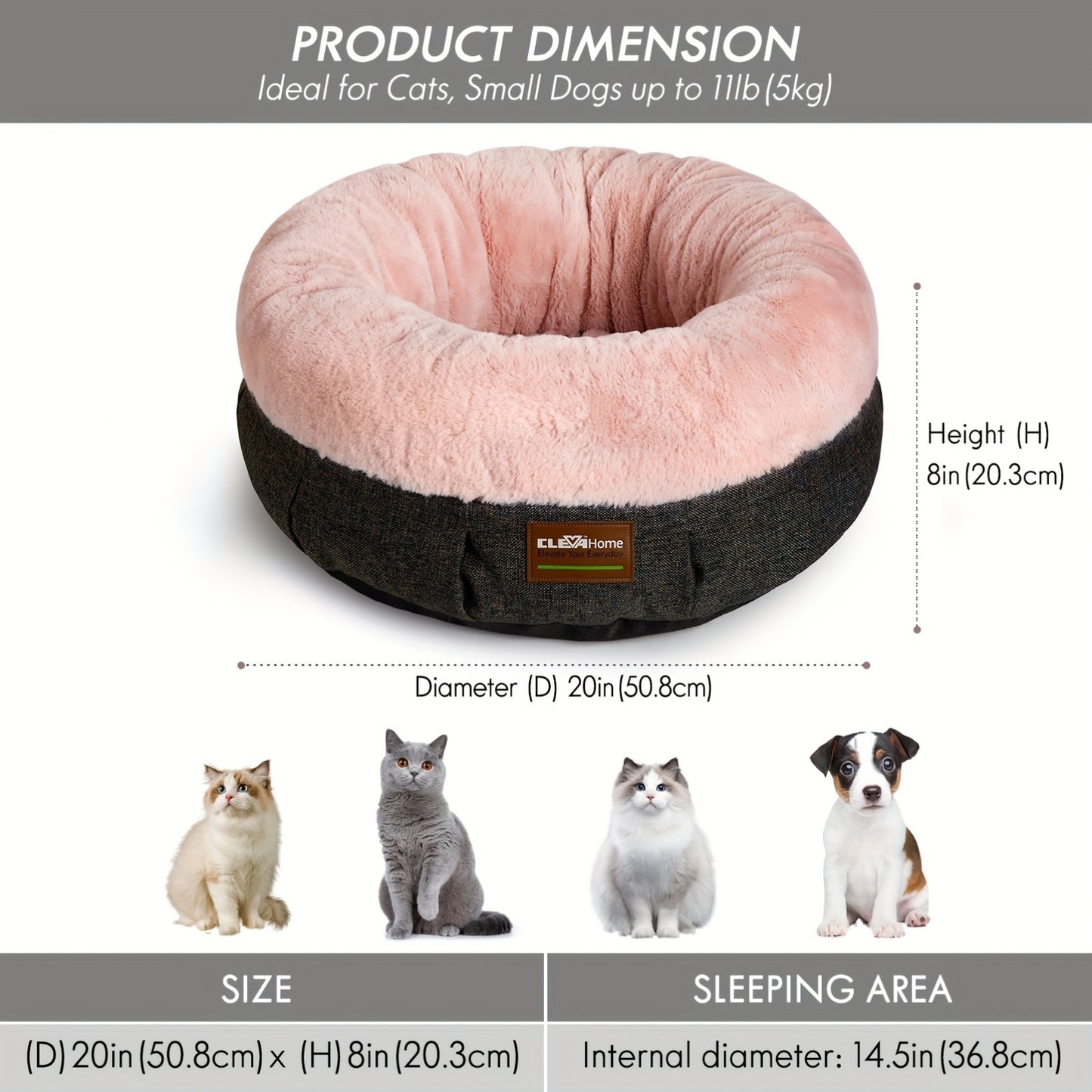 Cozy Cat Bed with Raised Sides and Anti-Slip Base