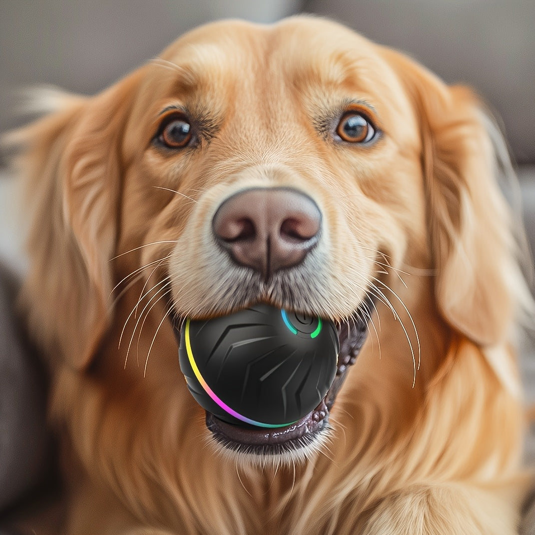 PETGRAVITY Interactive Dog Ball Motion Activated Toy