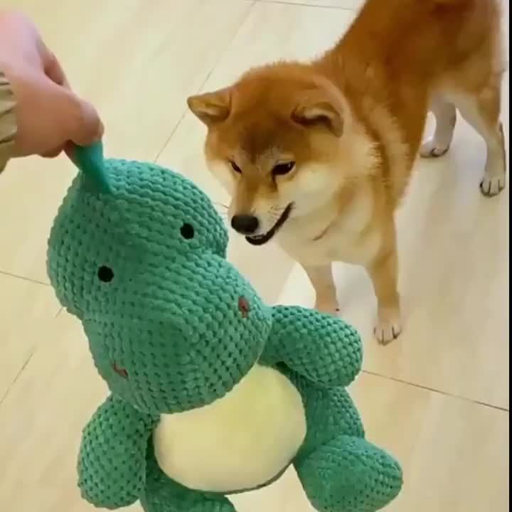 Indestructible Bear Dog Toys Two Shapes Extreme Chew Squeak