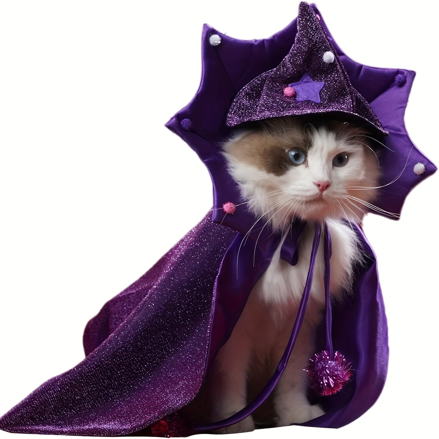 Halloween Witch Cloak And Hat Set For Cats And Dogs