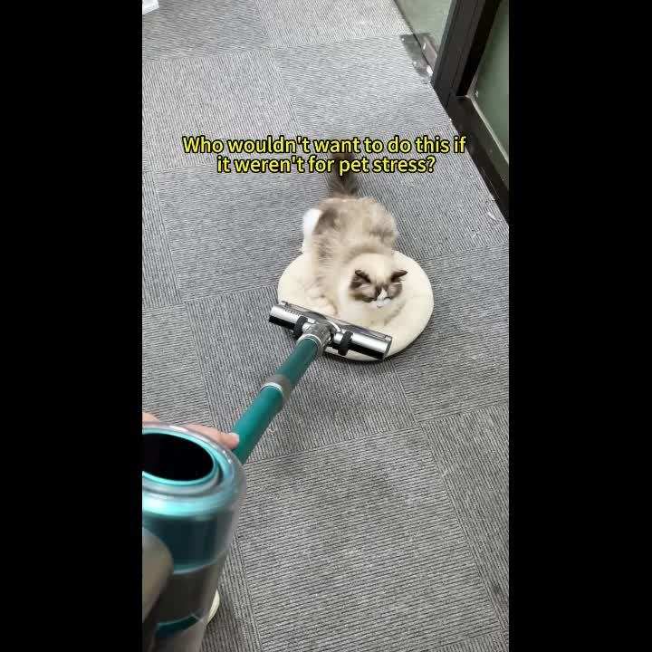 5-in-1 Dog Grooming Vacuum Kit for Easy Pet Care