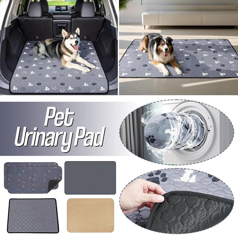 Hign-concerned Pet Urinary Pad Reusable Pee Pad Guinea Pigs
