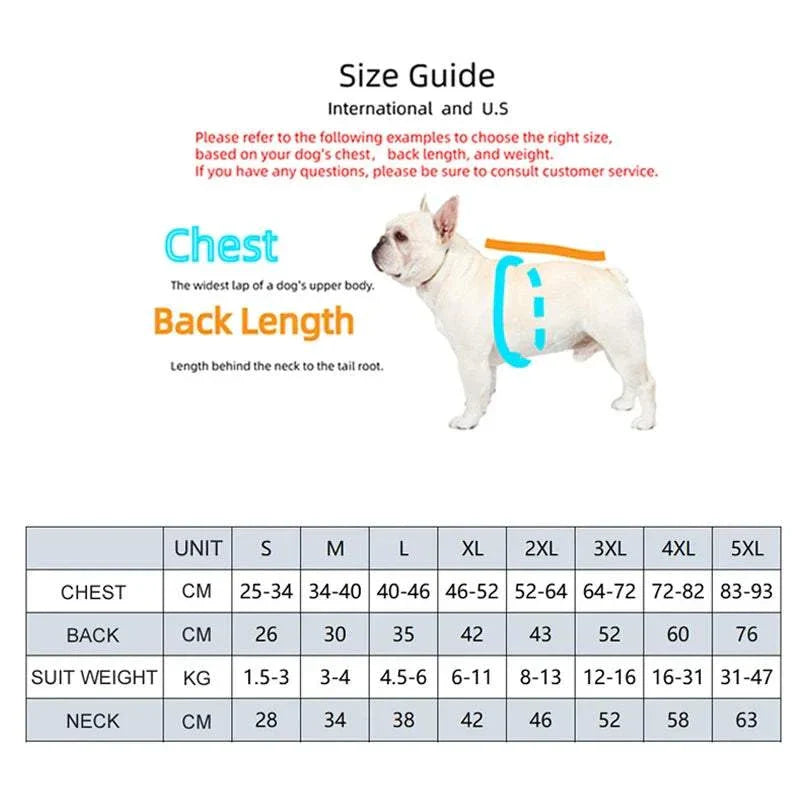 Blue snow mountain print windproof dog jacket for all-season protection