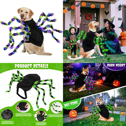 Big Dog Halloween Spider Costume With 64 LED Lights Large Dogs
