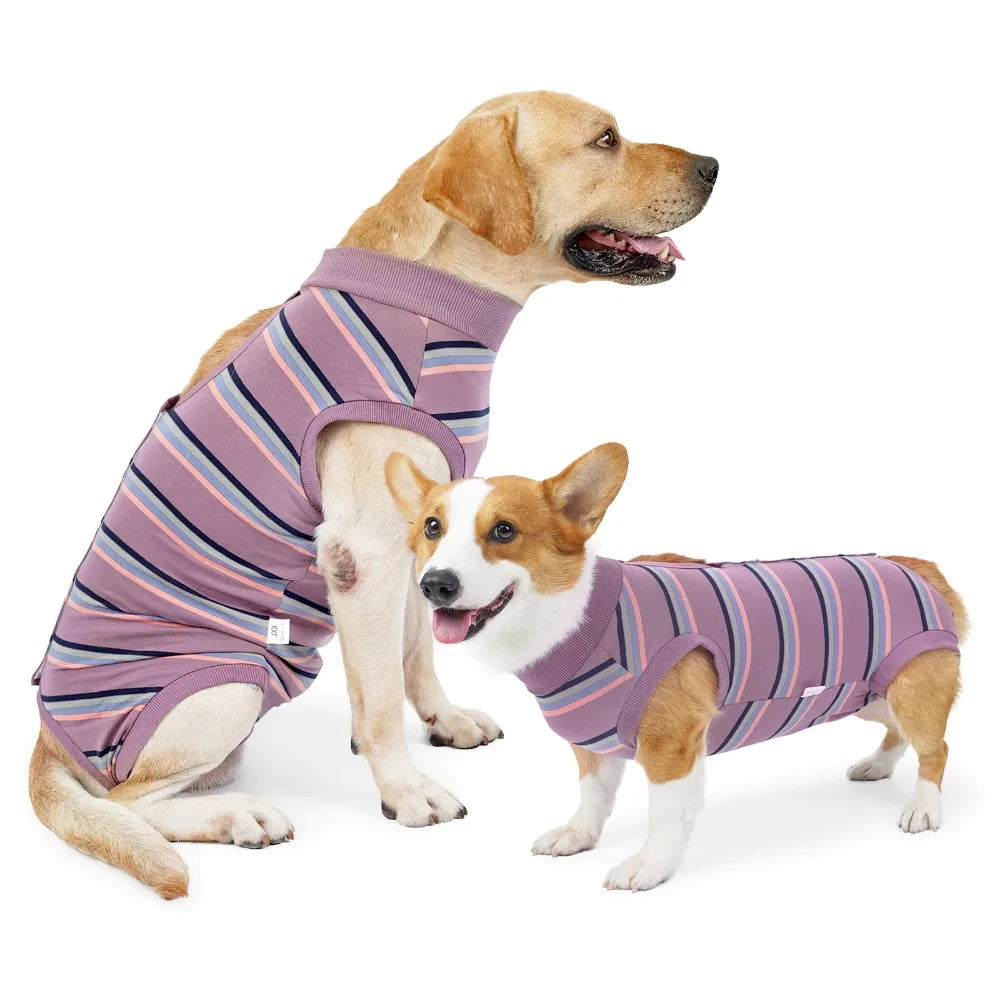 CN Zhejiang Breathable Dog Postoperative Recovery Suit