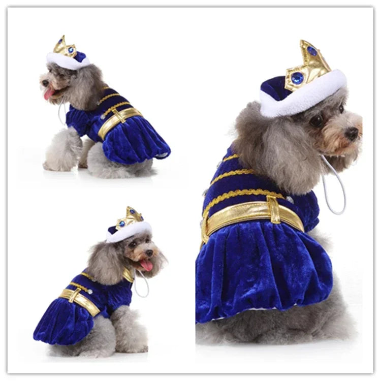 Hign-concerned Chemical Pet Cosplay Pirate Sorcerer Costume