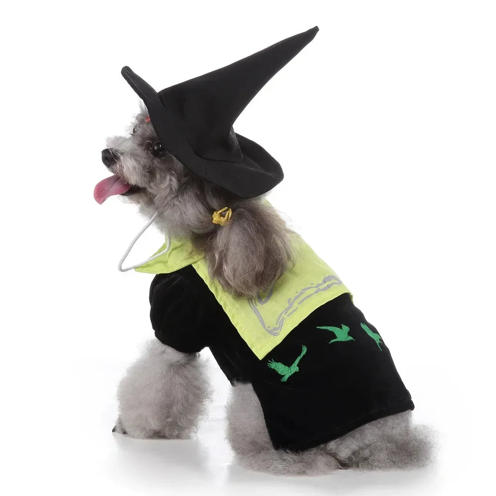 Hign-concerned Chemical Pet Cosplay Pirate Sorcerer Costume