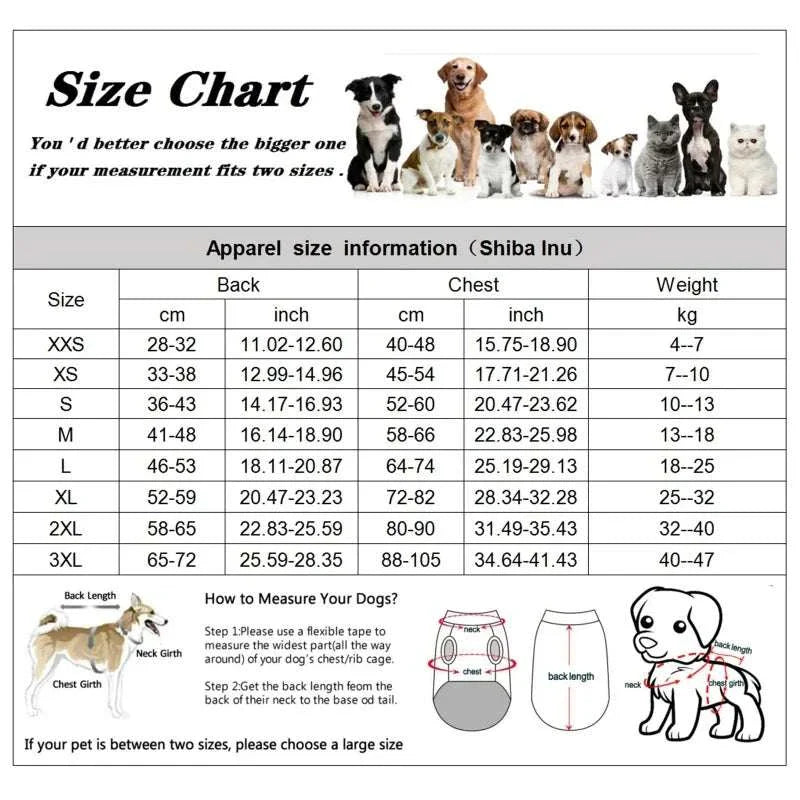 Recovery Suit For Dogs | Comfortable, Protective & Easy-to-Wear Gear.!