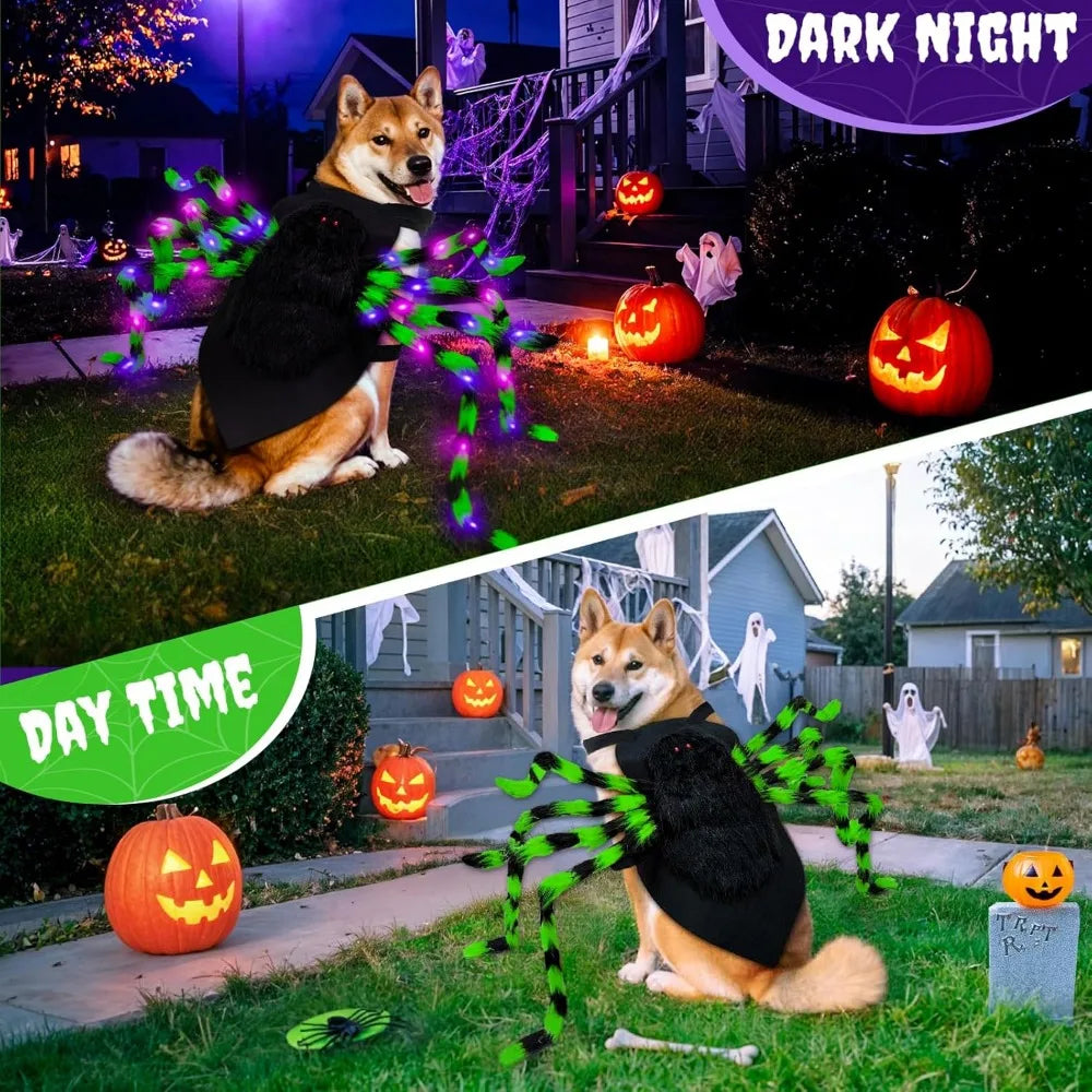 Big Dog Halloween Spider Costume With 64 LED Lights Large Dogs
