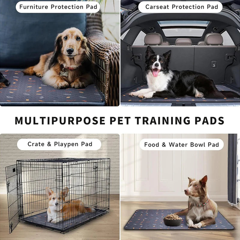 Hign-concerned Pet Urinary Pad Reusable Pee Pad Guinea Pigs