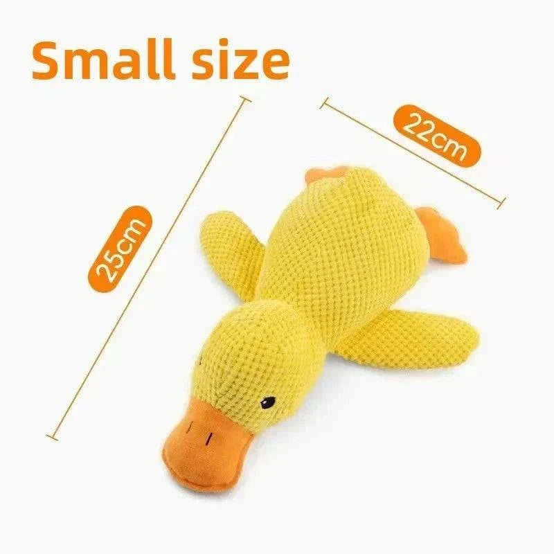 Dogs Accessories