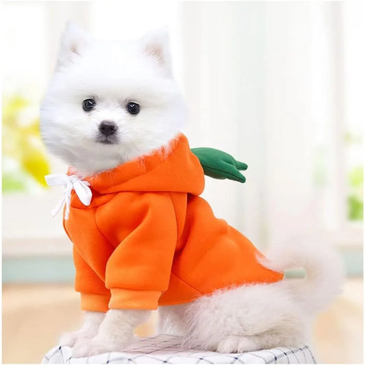 Dog Christmas Halloween Costumes For Small Dogs And Cats