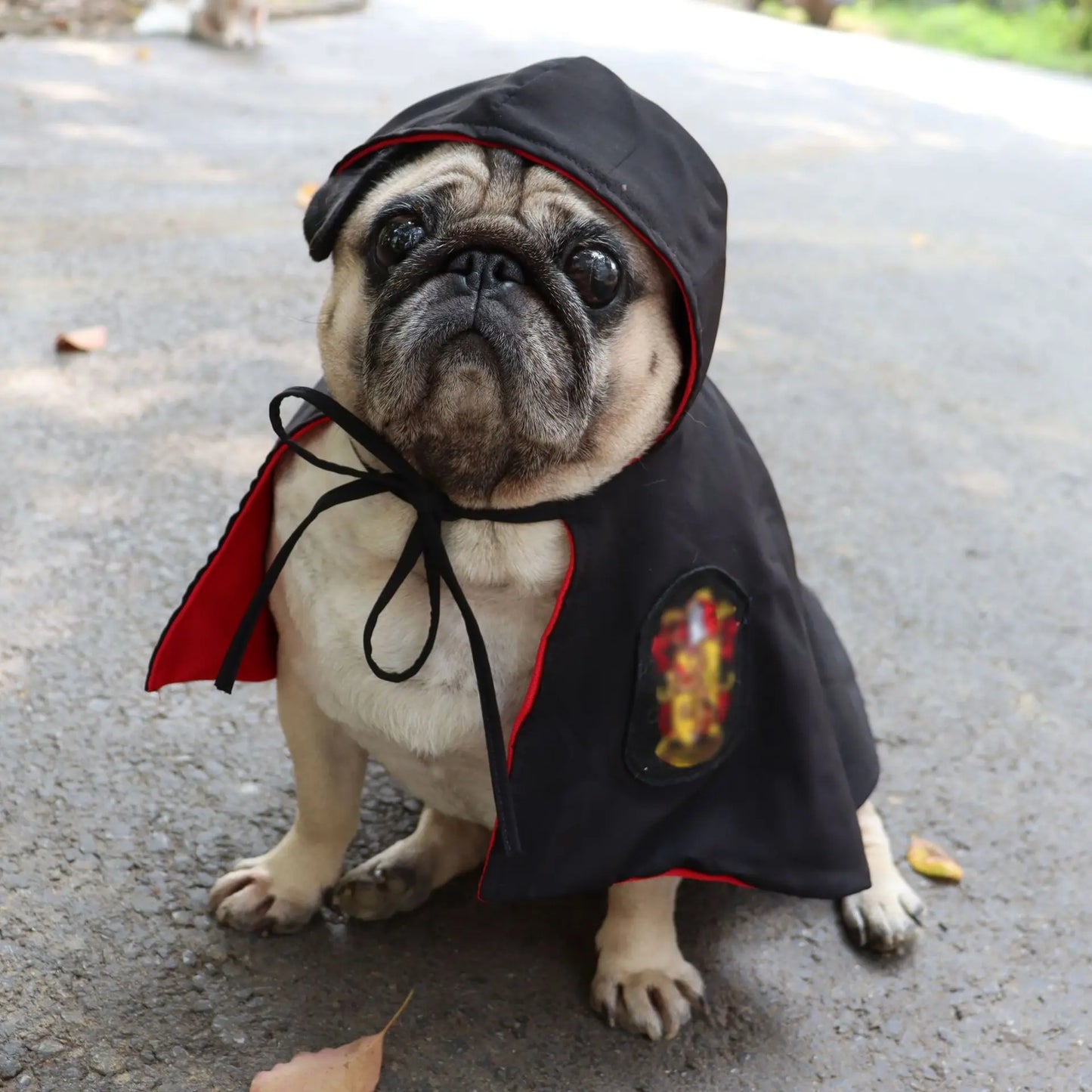 Pet Dog Cat Autumn Shawl Cloak Costume