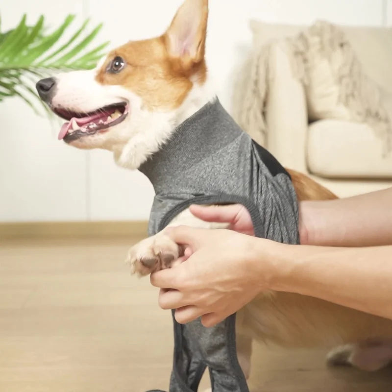 Recovery Suit For Dogs And Cats After Surgery Pet Shirt