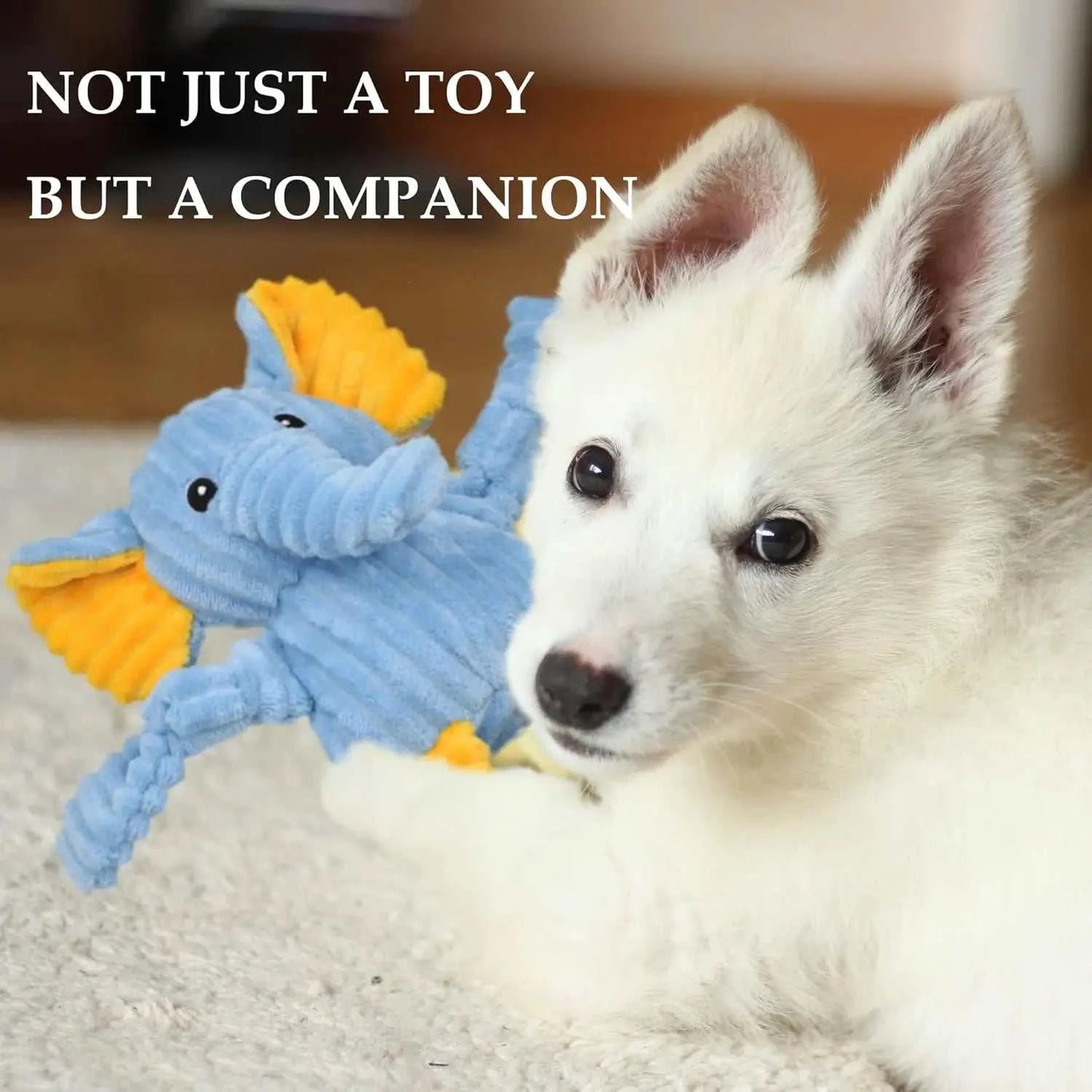5-Pack Durable Squeaky Plush Dog Toys for Small to Large Dogs, Assorted Animal Designs