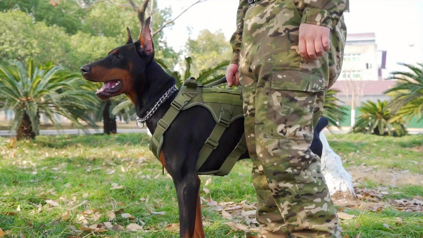 Tactical Dog Harness for Outdoor Training and Night Adventures