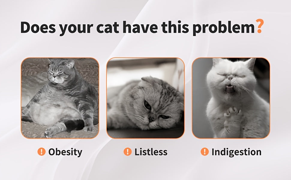 Interactive Cat Wand Toy With Retractable Feather Refills