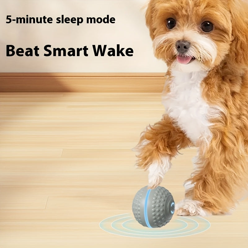 MIAOQUANJI USB Rechargeable Smart Dog Ball for All Breeds