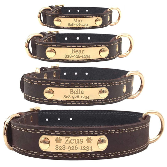 Personalized Dog Collar With Custom Engraved Nameplate And ID Tag